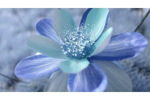 3分钟的企业宣传片如何提高市场效益