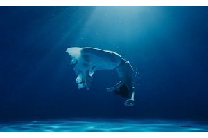 大学英语宣传片文案怎么写