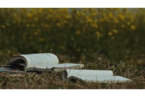 美术馆线上虚拟展厅：探索艺术的新境界