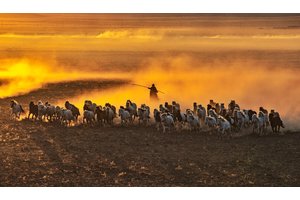 大山的宣传片怎么拍摄