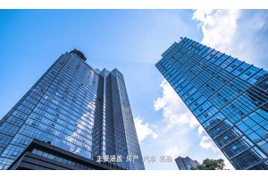 鸡肉的宣传片怎么拍摄