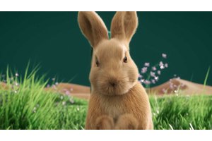 高端宣传片就是有故事的宣传片