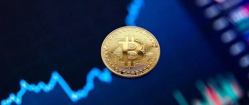 网站设计要素有哪些内容呢英语翻译怎么写