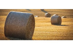 高效便捷的小程序报价制作神器，让生意更简单