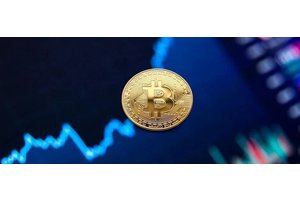 食品展会网站设计的关键要素