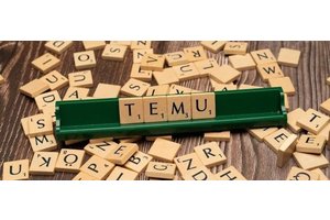 造纸行业在线商城设计要点