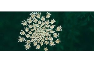 高端网站设计收费的必要性与优势